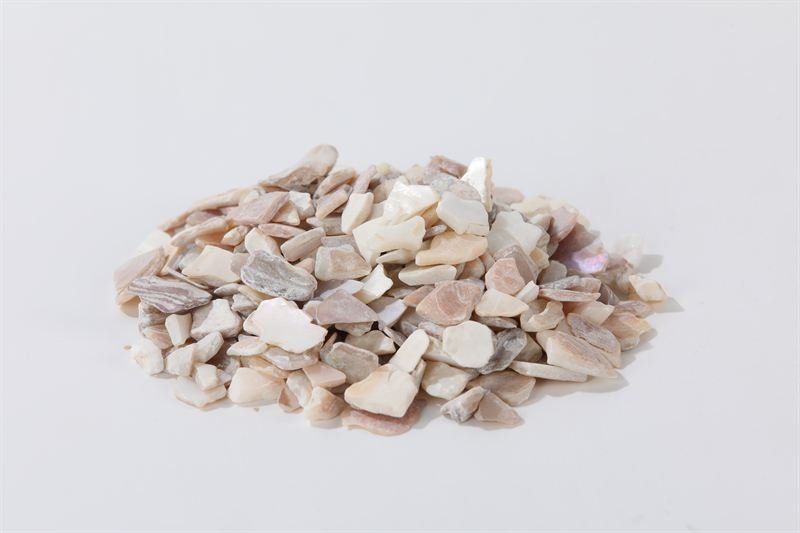 Natural shell in 10–20mm showing natural shape variation