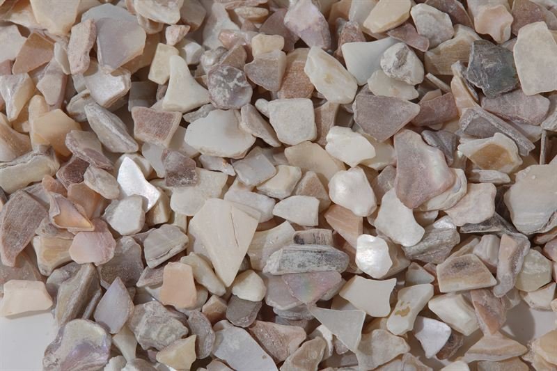 Natural shell in 10–20mm shown from another angle