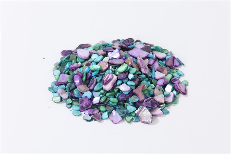 Dyed Coloured Shell supplied for export from China