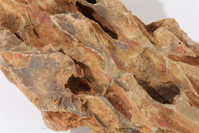 Dragon stone shown in closer detail